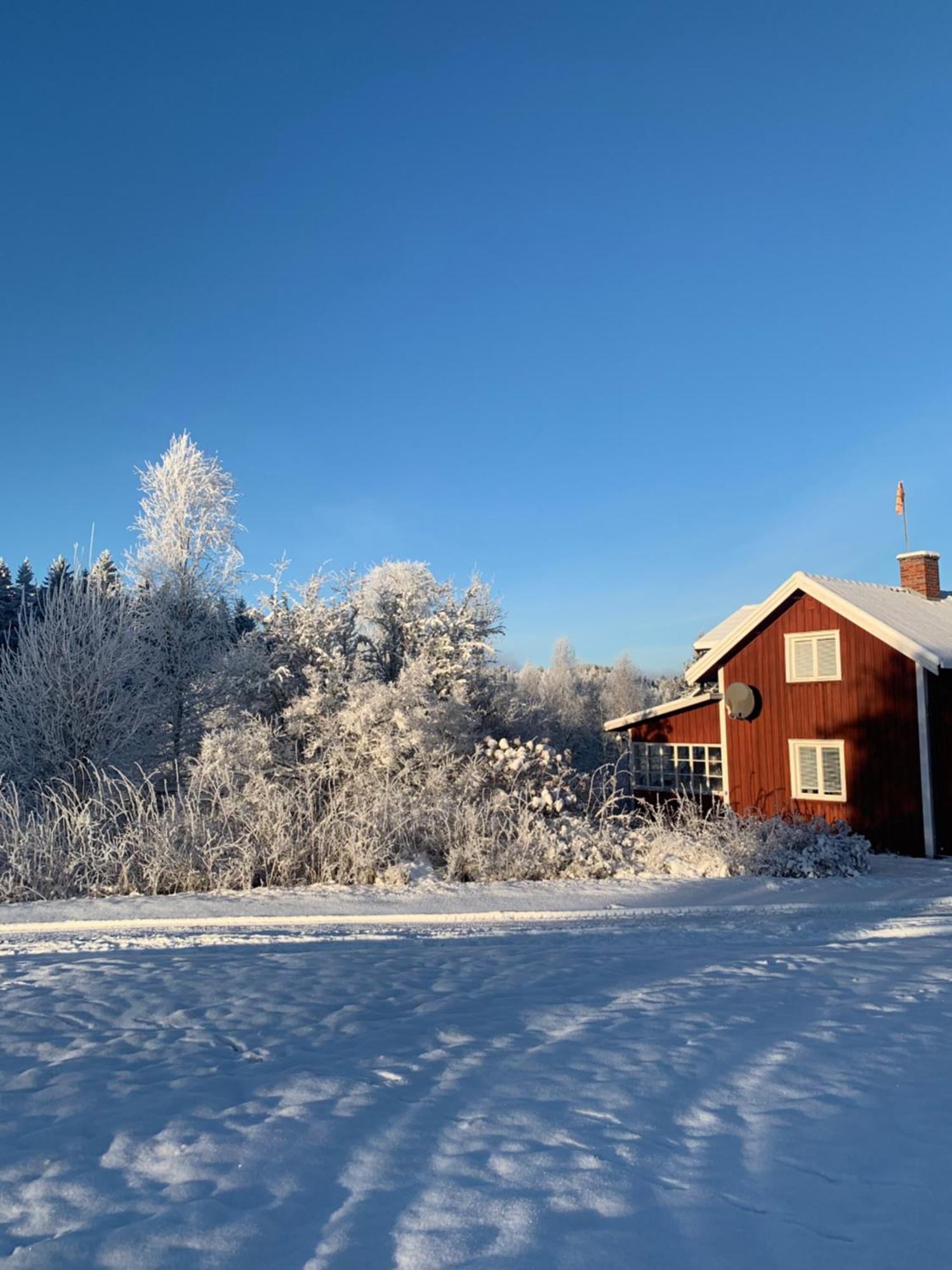 Warm Beheiztes Gemuetliches Haus In Der Natur Sunne Extérieur photo